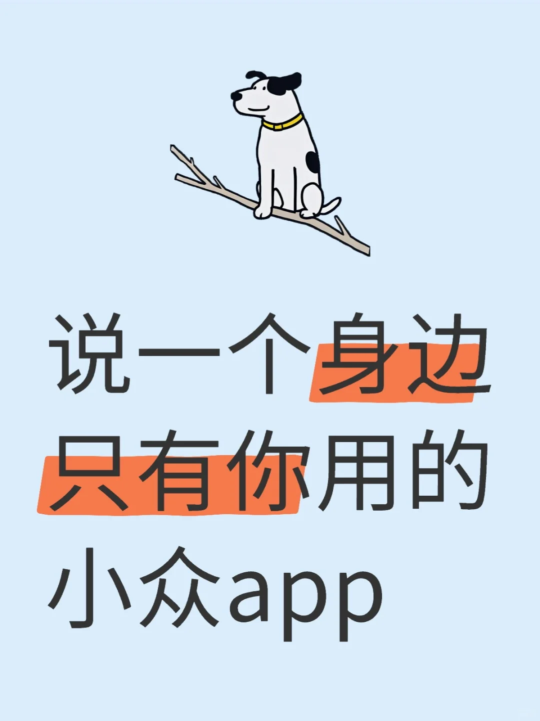 说一个身边只有你用的小众app