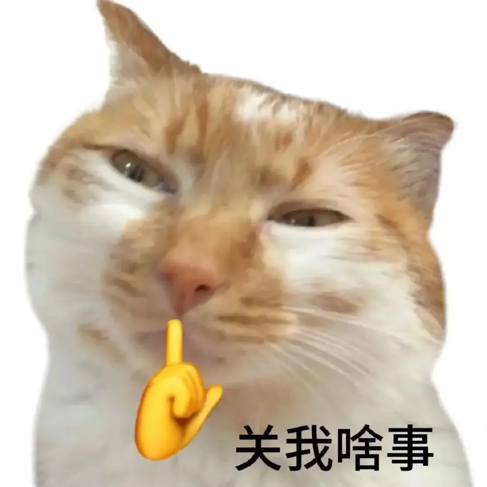 讨坏型人格l猫meme表情包