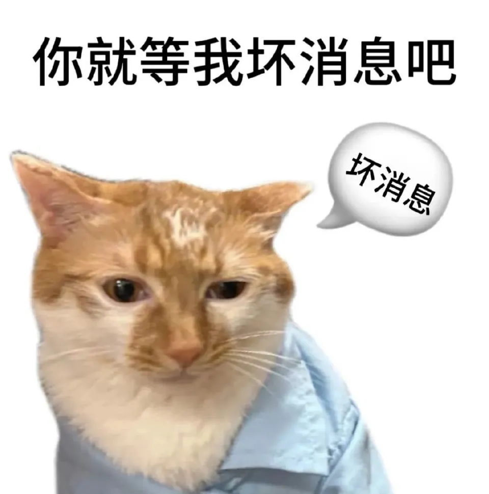 讨坏型人格l猫meme表情包