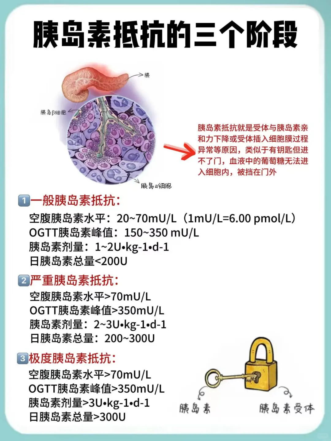 去看胰岛素抵抗拍的标语牌！！