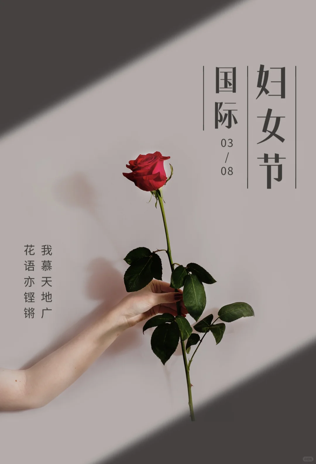 三八妇女节文案|朋友圈女神节海报文案