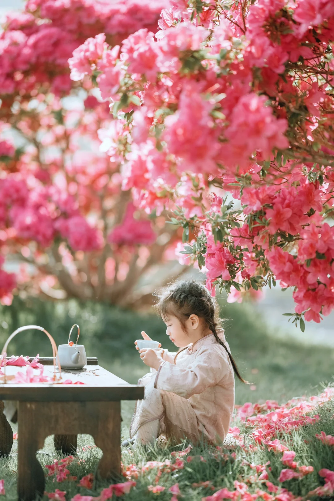 我不懂什么摄影，我只是在拍我女儿