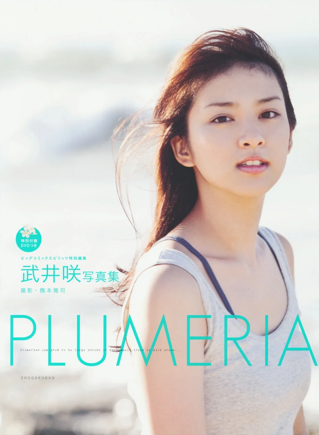 武井咲 「PLUMERIA」