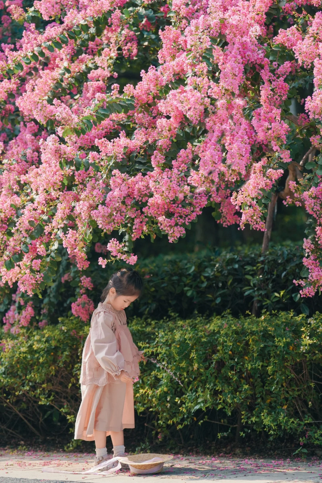 我不懂什么摄影，我只是在拍我女儿