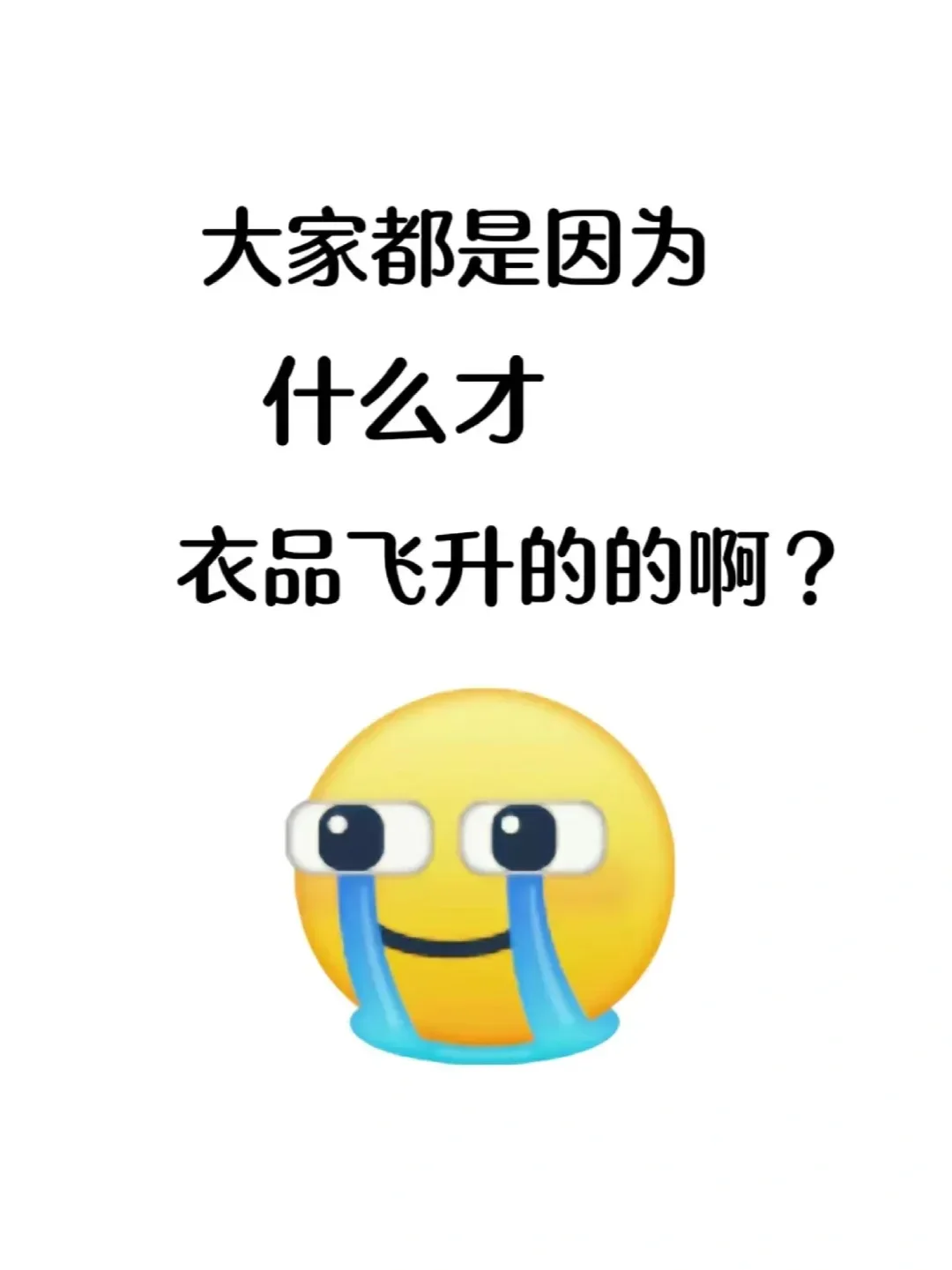 好奇大家是因为什么才衣品飞升的？