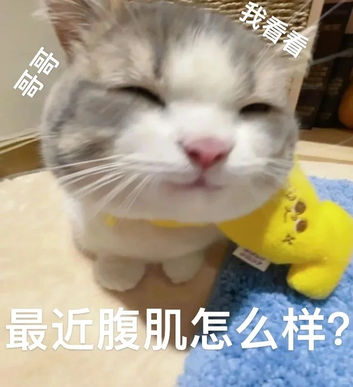 猫猫表情包🐱情侣恋爱表情包