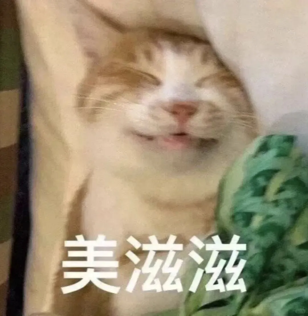 表情包3⃣️0⃣️｜“不知所措”猫