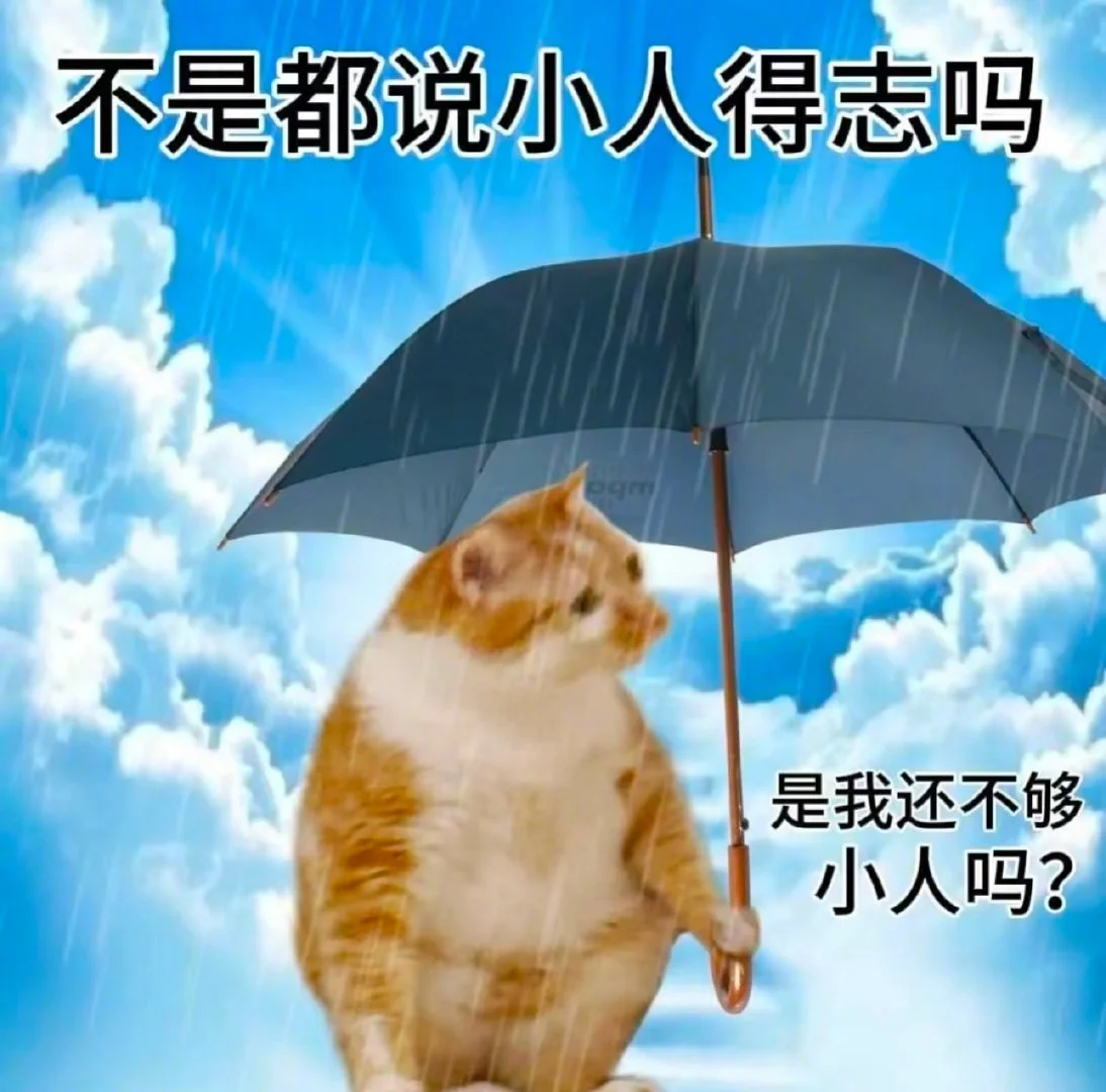 喜欢小猫表情包