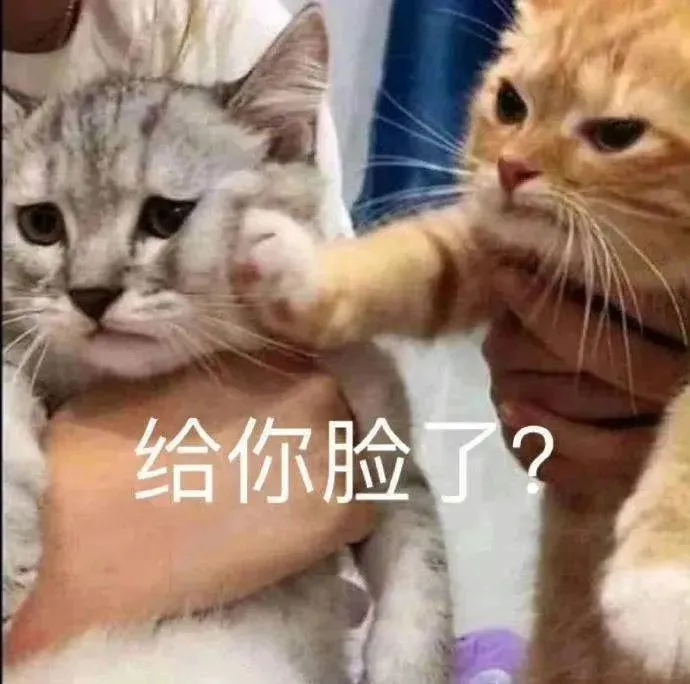 表情包3⃣️0⃣️｜“不知所措”猫