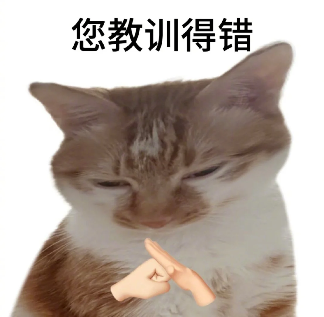 喜欢小猫表情包