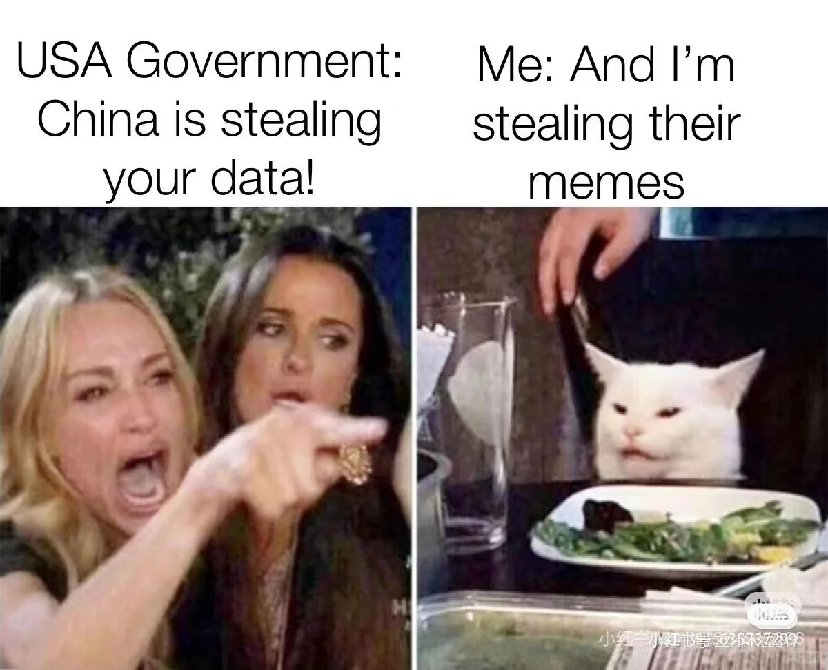 cat memes｜抽象猫meme