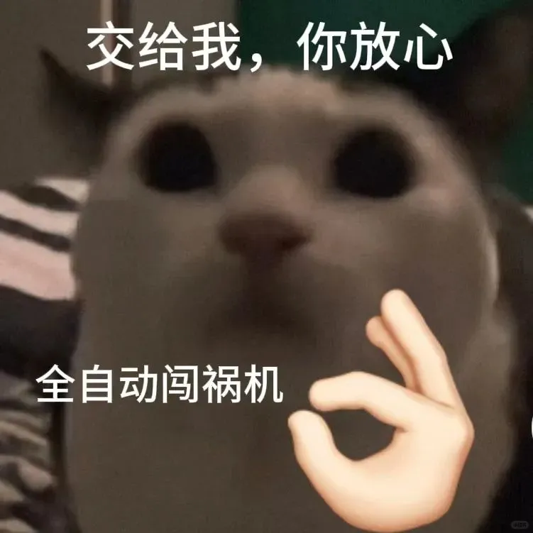 表情包3⃣️0⃣️｜“不知所措”猫