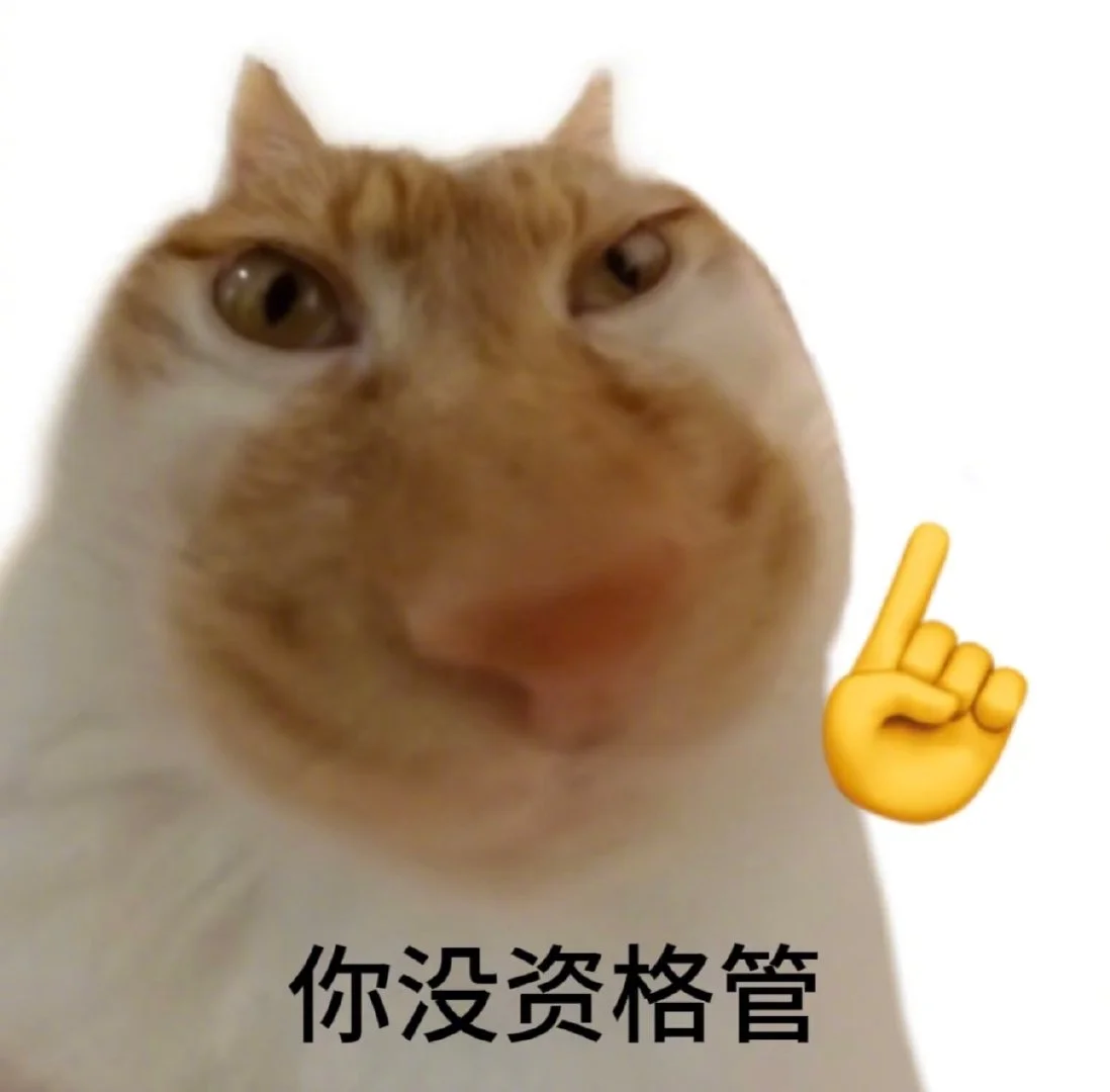 喜欢小猫表情包