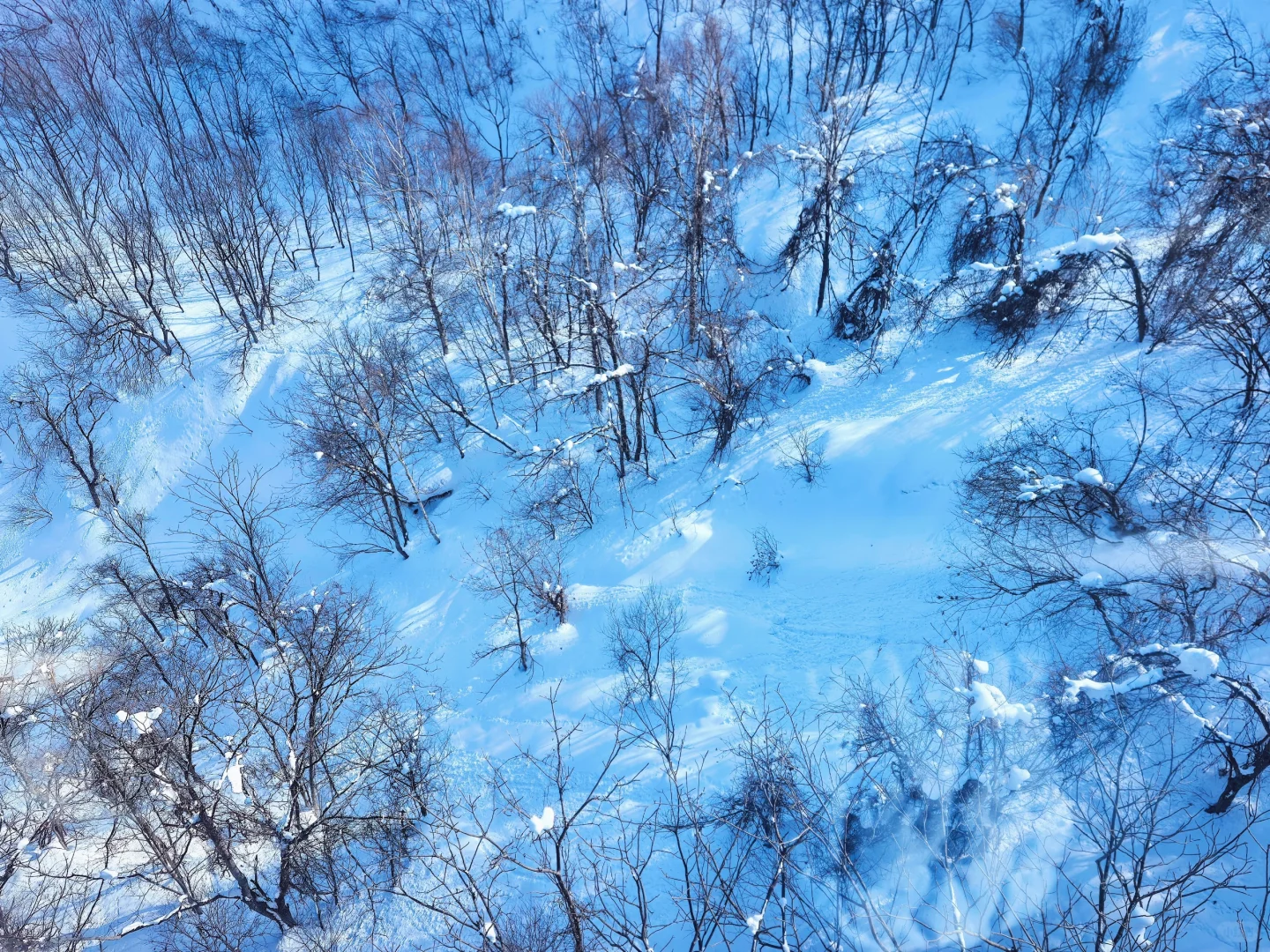 #北海道小樽一日游