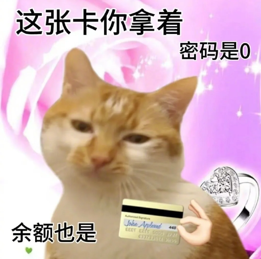 喜欢小猫表情包