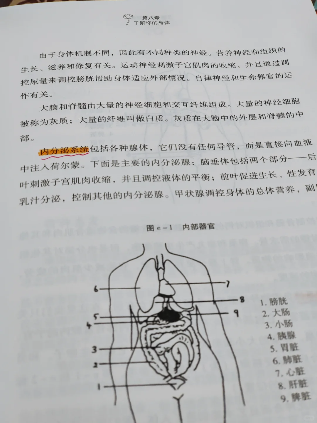 ??‍♀️瑜伽从业者必读书之一