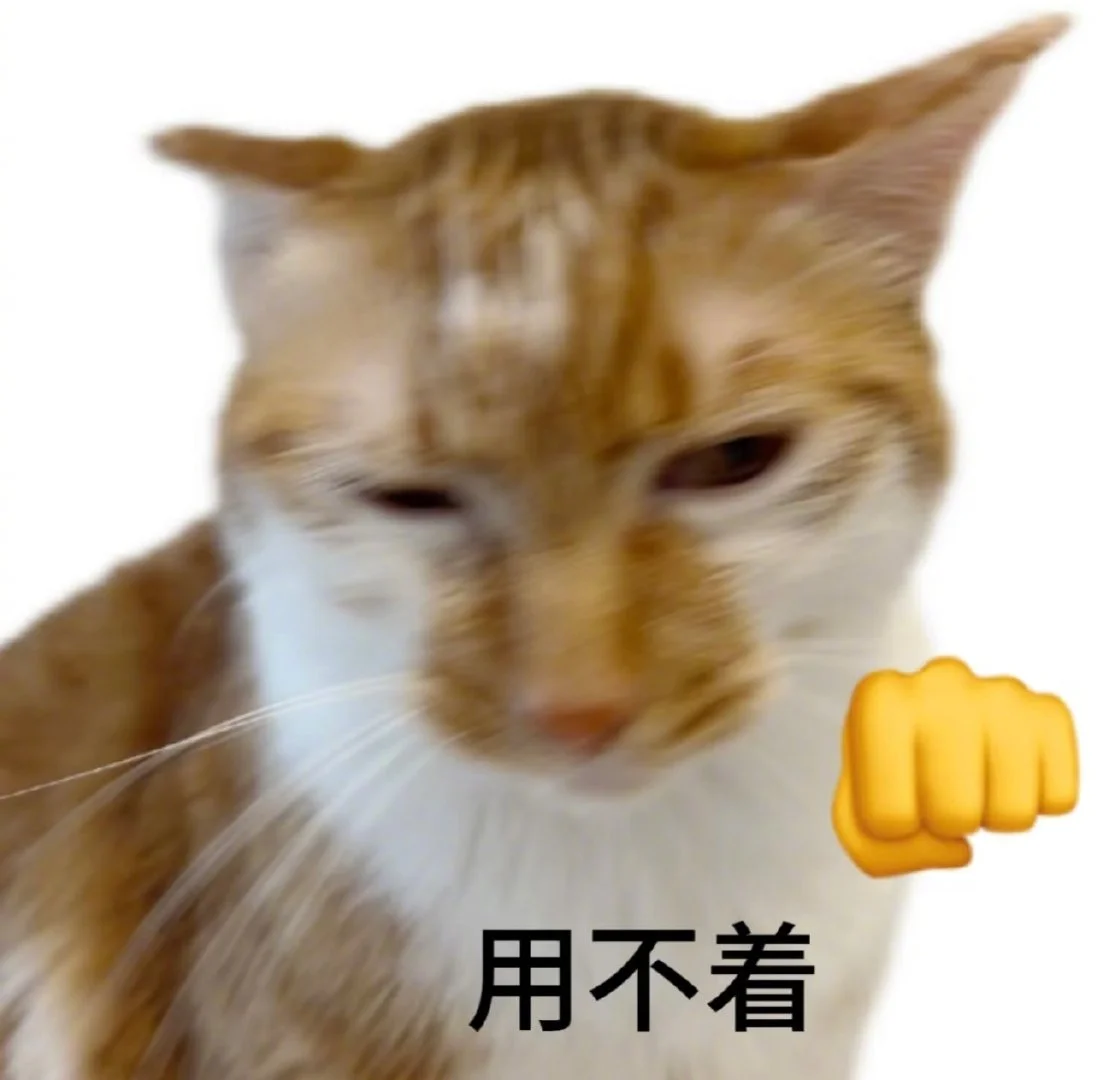 喜欢小猫表情包