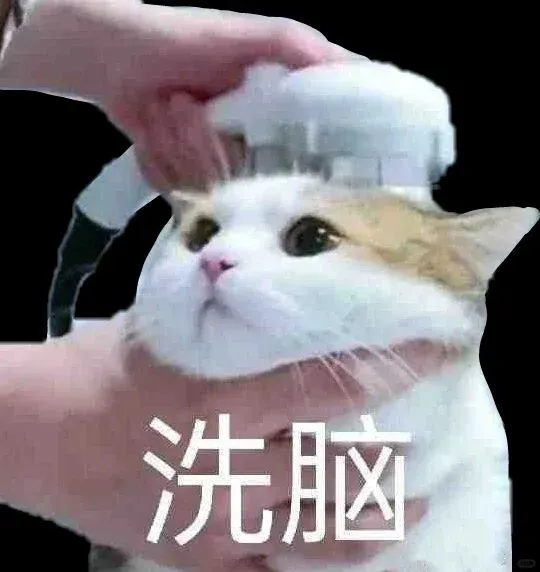 表情包3⃣️0⃣️｜“不知所措”猫