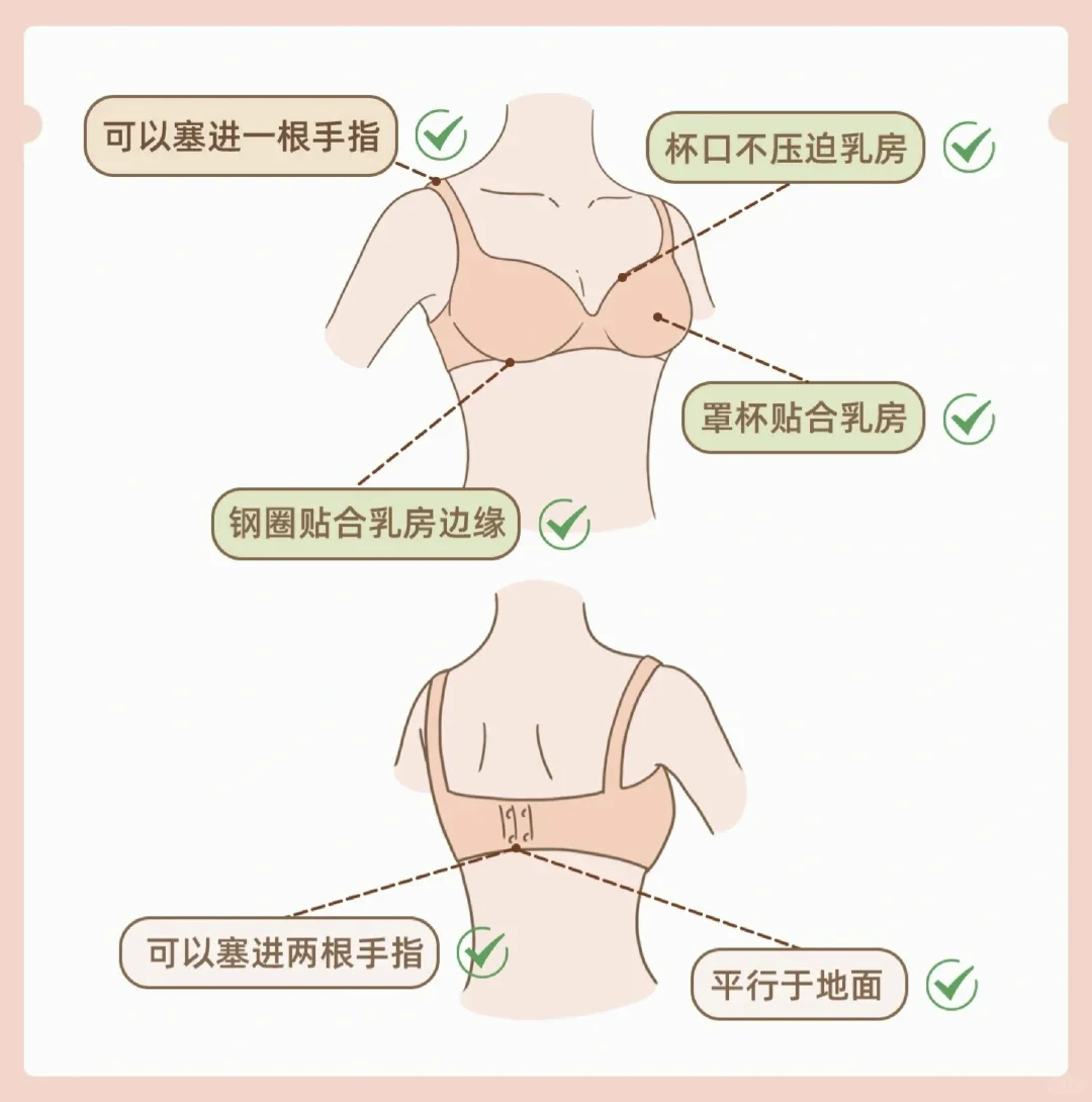 女生必看的小tips！不同胸型怎么选内衣？