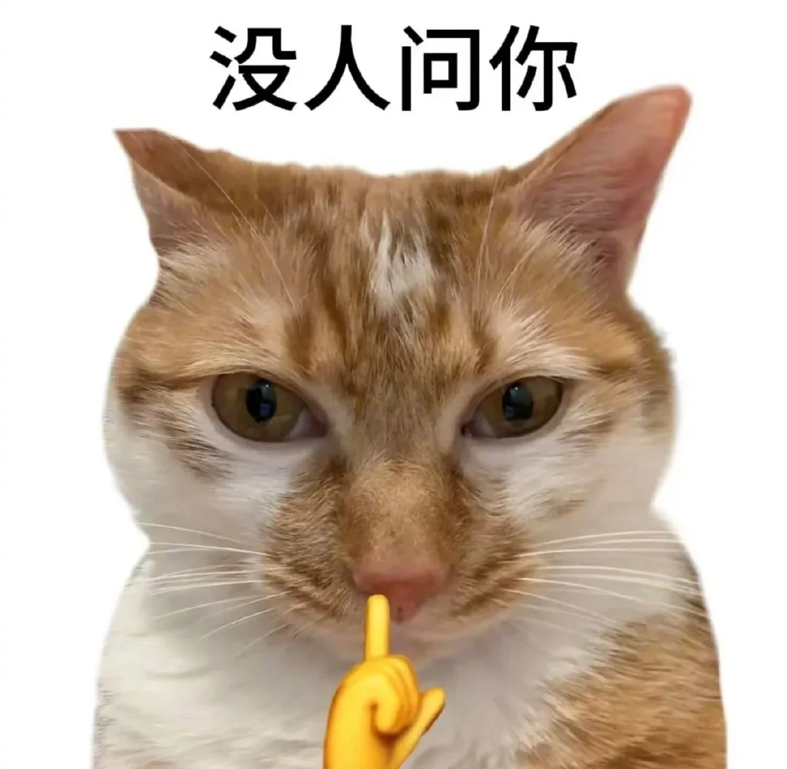 喜欢小猫表情包