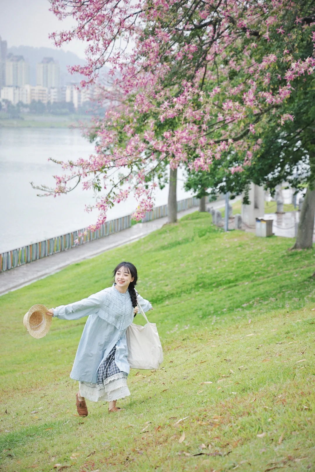 南宁异木棉｜秋日来信｜木棉花开