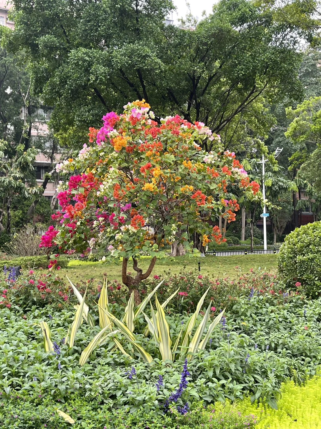 没学会新泳姿之前真的不能再买了