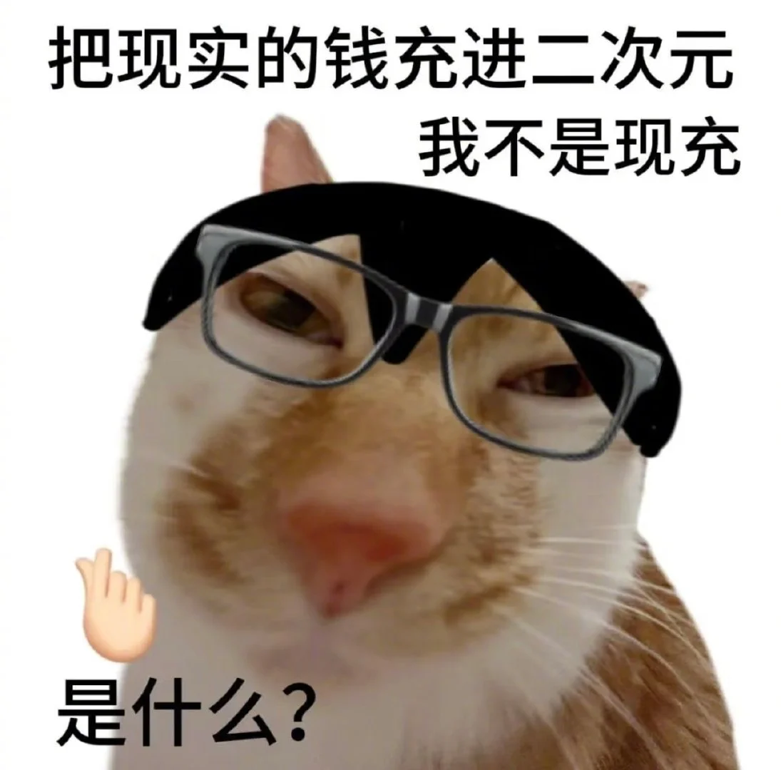 喜欢小猫表情包