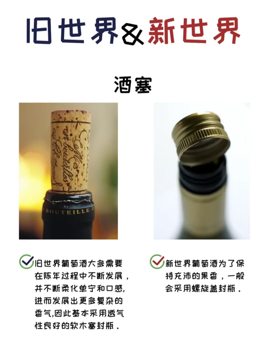 葡萄酒什么是新世纪和旧世纪？