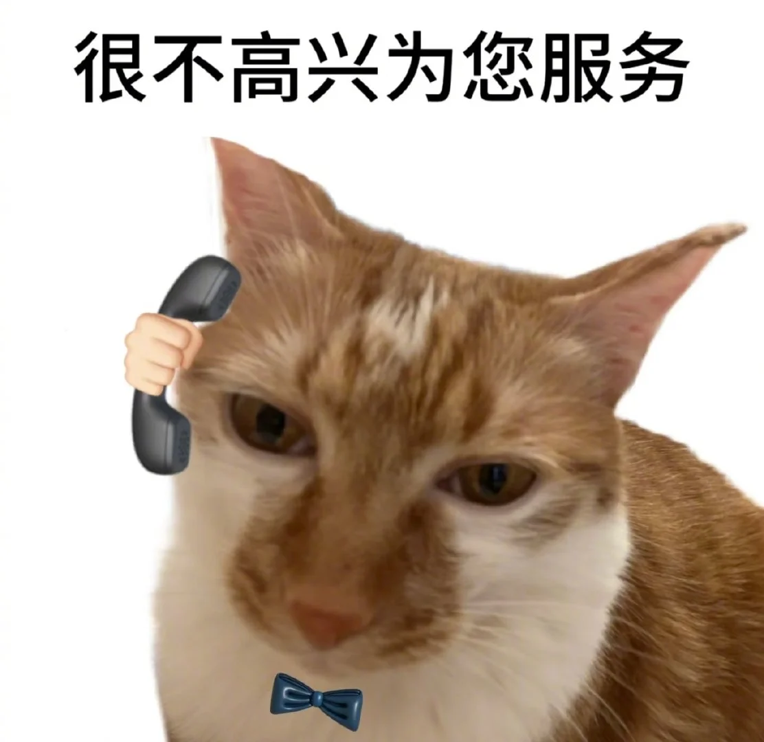 喜欢小猫表情包