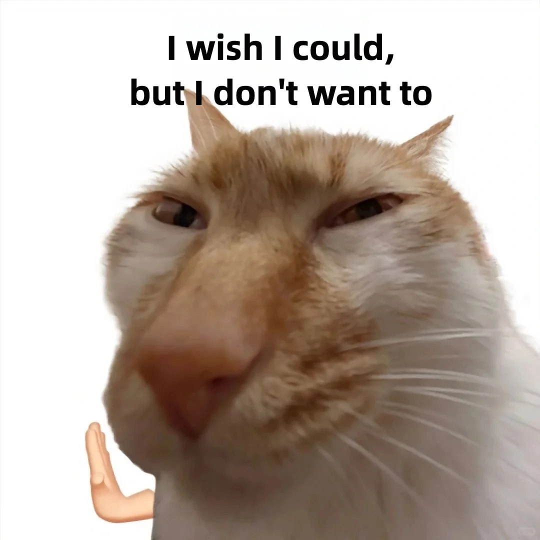 cat memes｜抽象猫meme