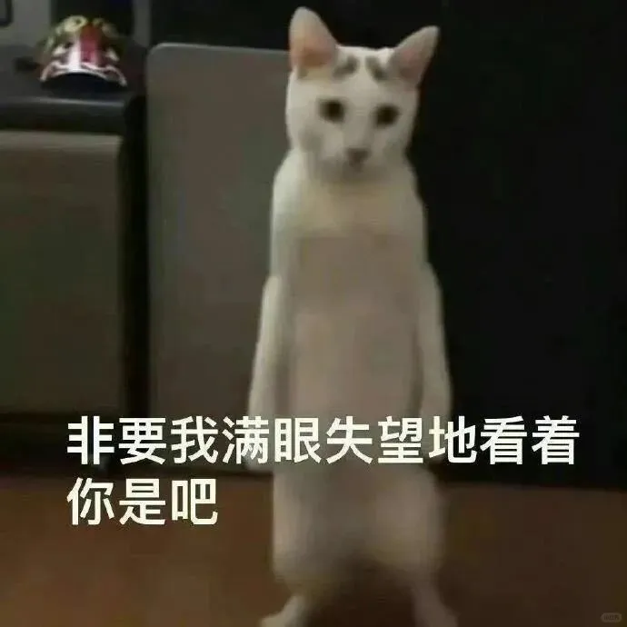 表情包3⃣️0⃣️｜“不知所措”猫