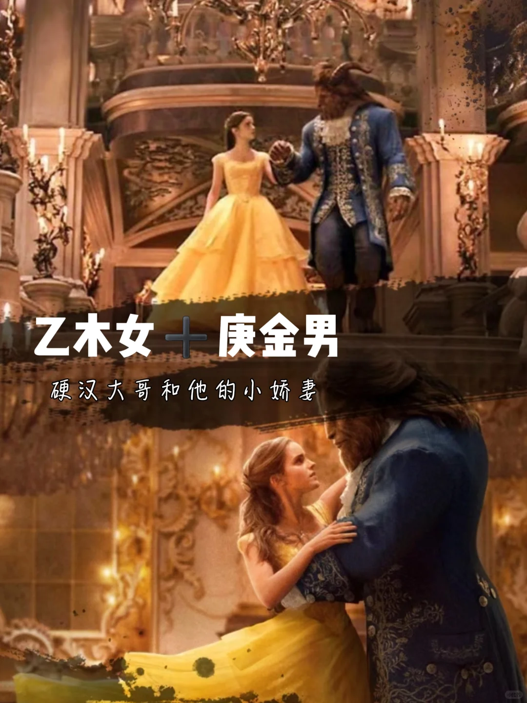 乙木女的选择