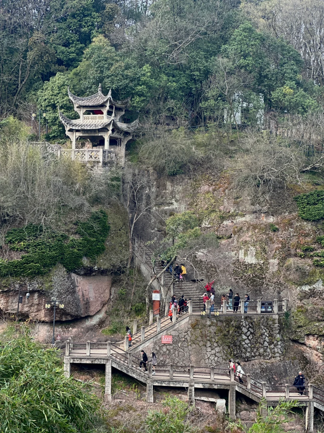 一整个被这浪漫的纸花给迷住了?