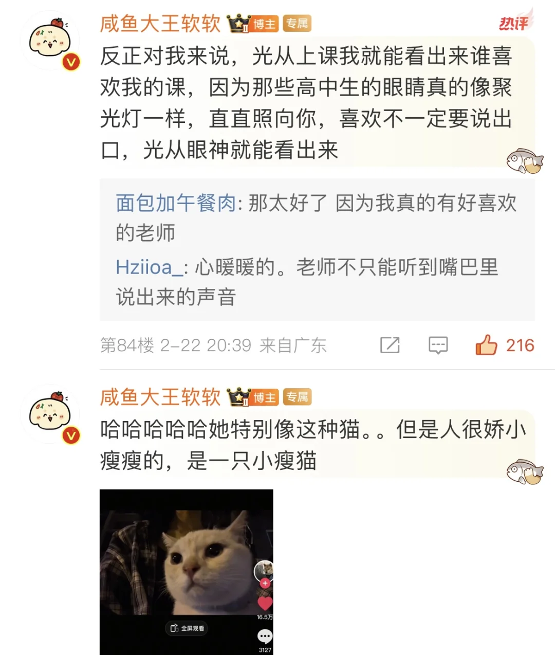 我学生是一只姜黄色的猫