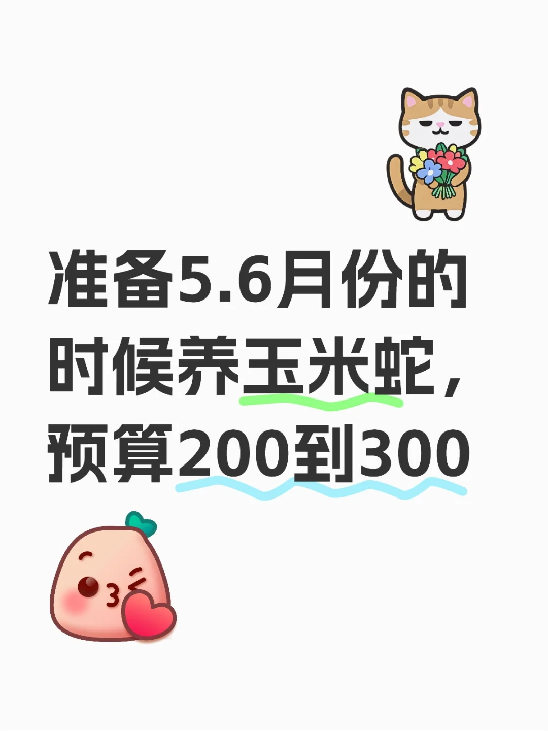 玉米蛇200到300能买到吗