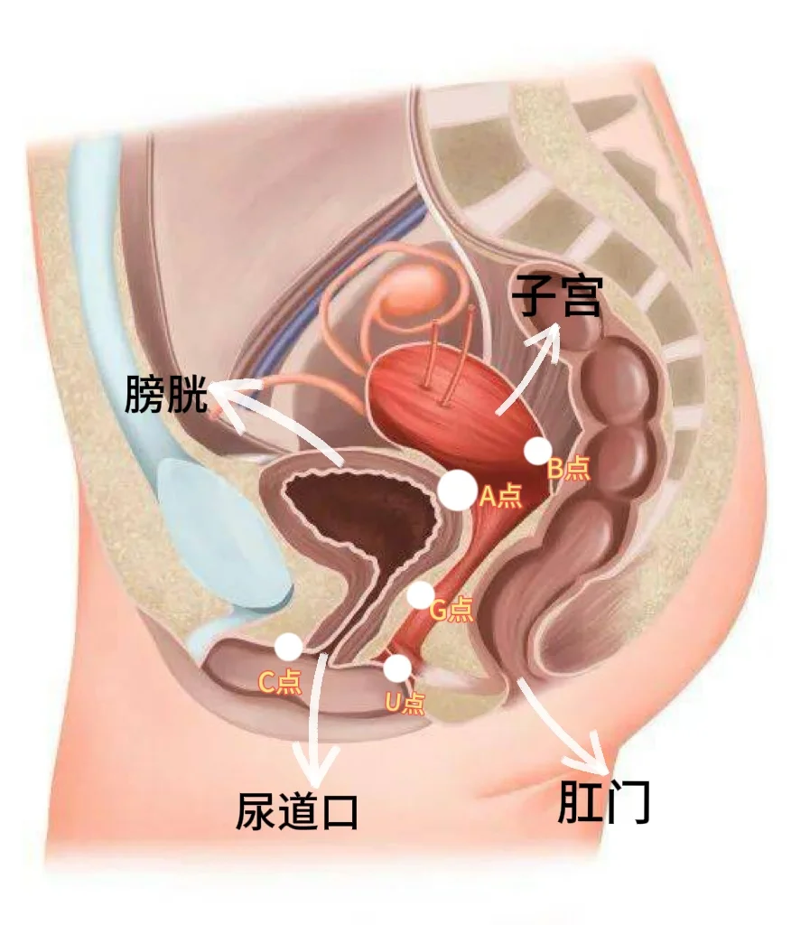 女生的这五个点，你都知道吗？