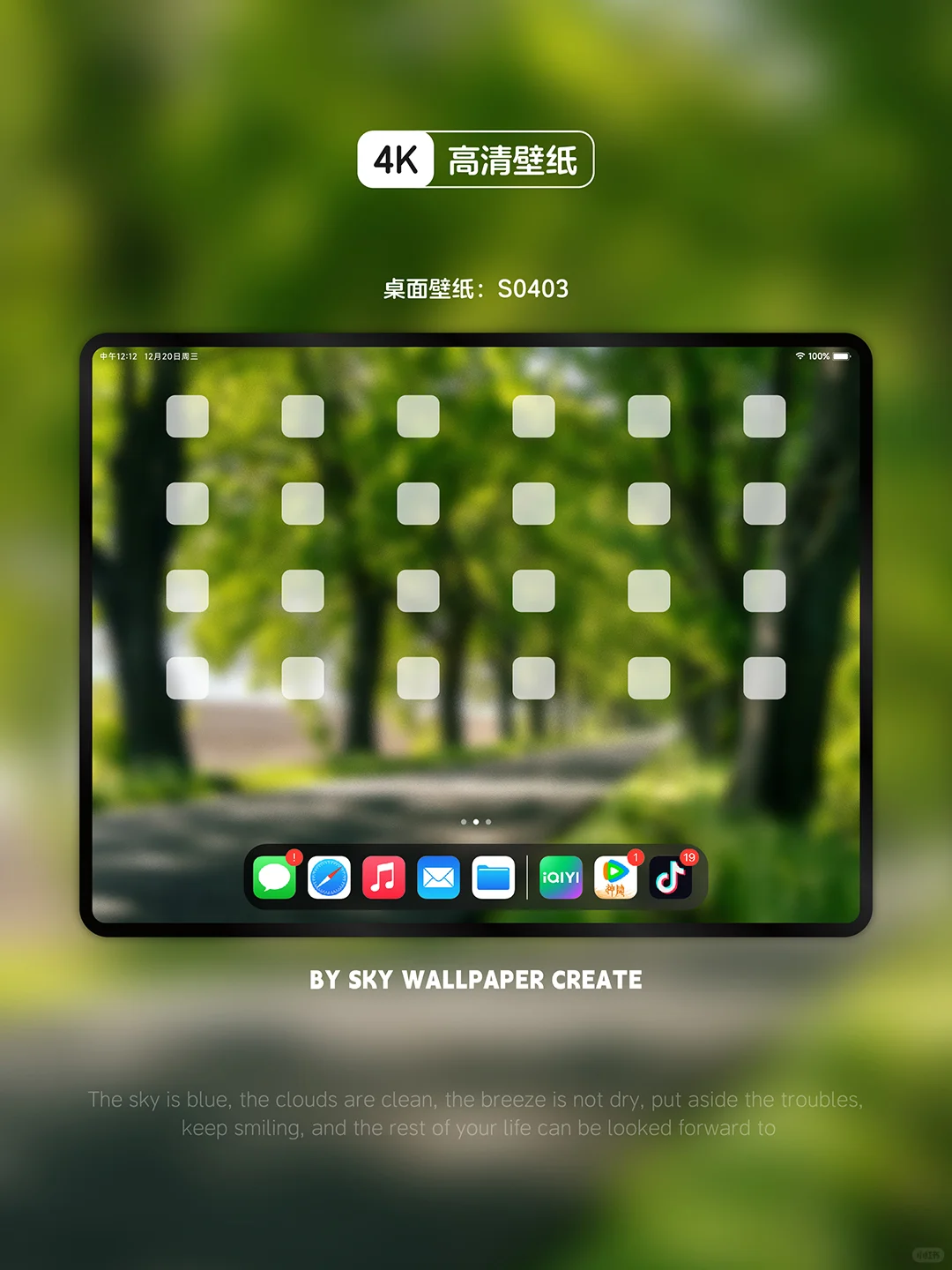 iPad壁纸丨手机壁纸丨高清4k丨林荫小道