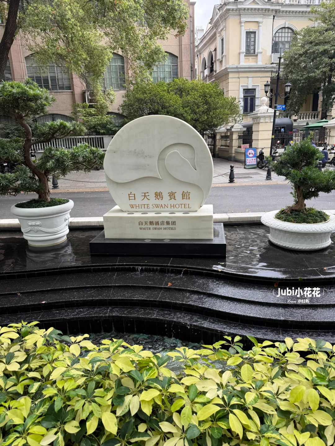 首测白天鹅玉堂春暖🦢广州早茶天花板！