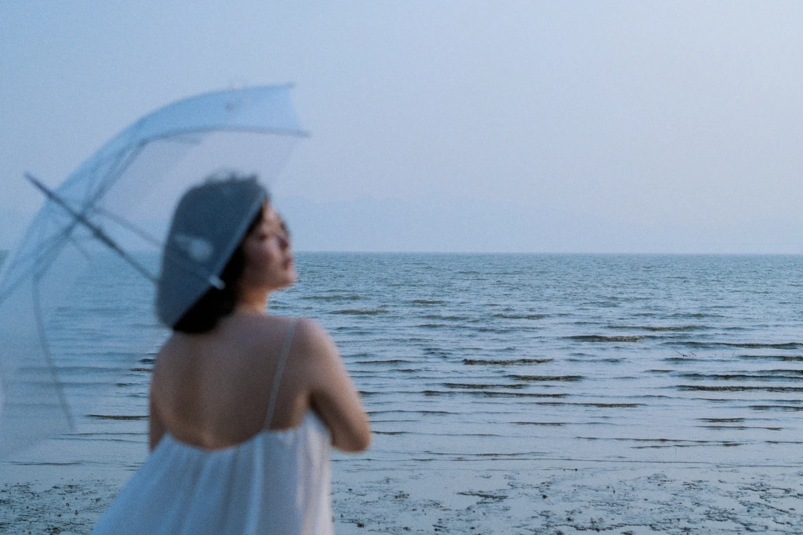 追着海风与日落