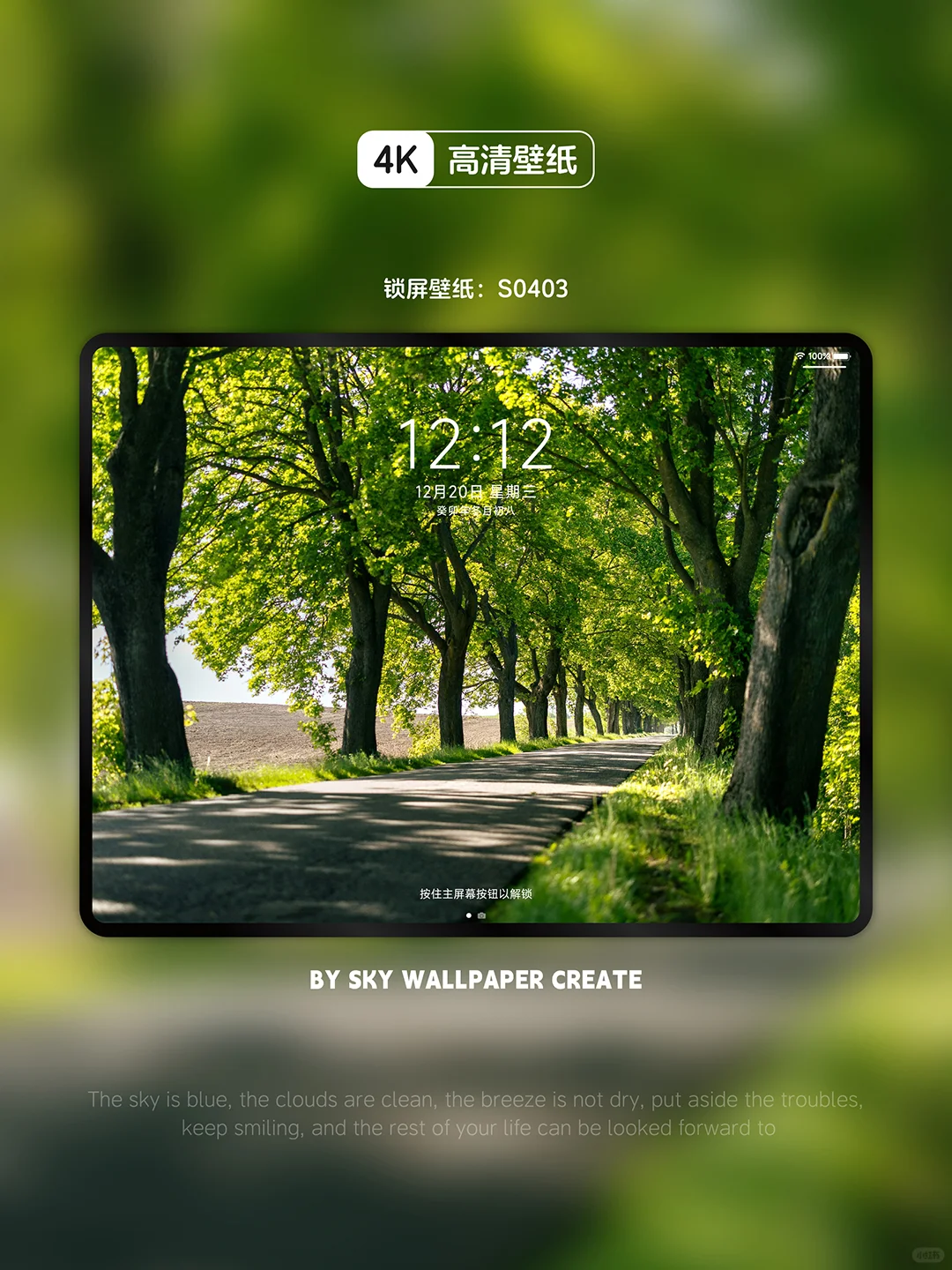 iPad壁纸丨手机壁纸丨高清4k丨林荫小道