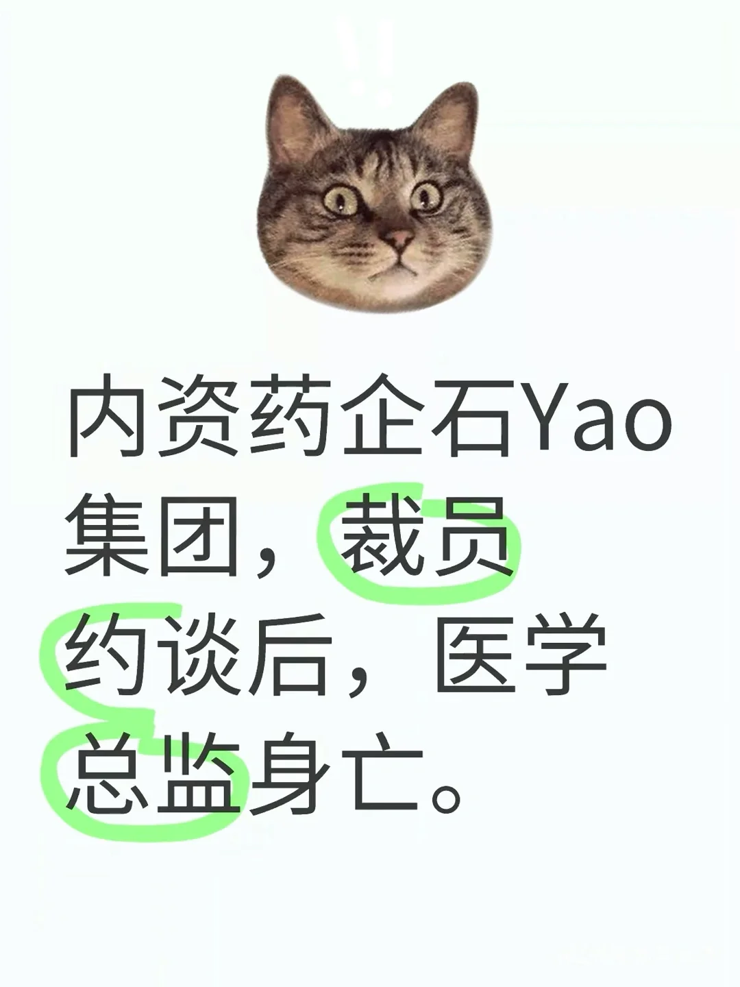 SY集团的医学总监