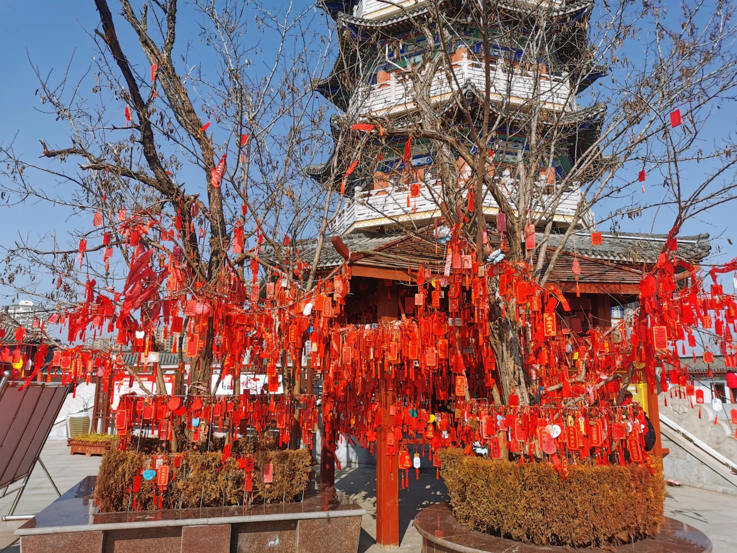 柘城旅游攻略，豫东小城的宝藏之旅！