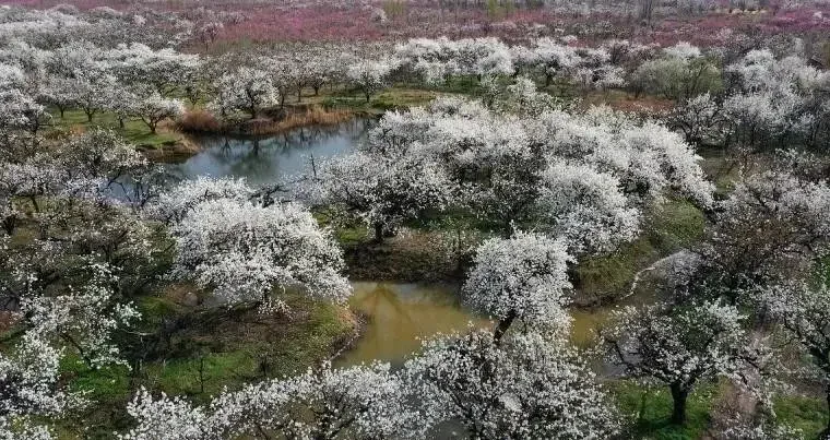 虞城旅游攻略，豫东小城的历史韵味之旅！