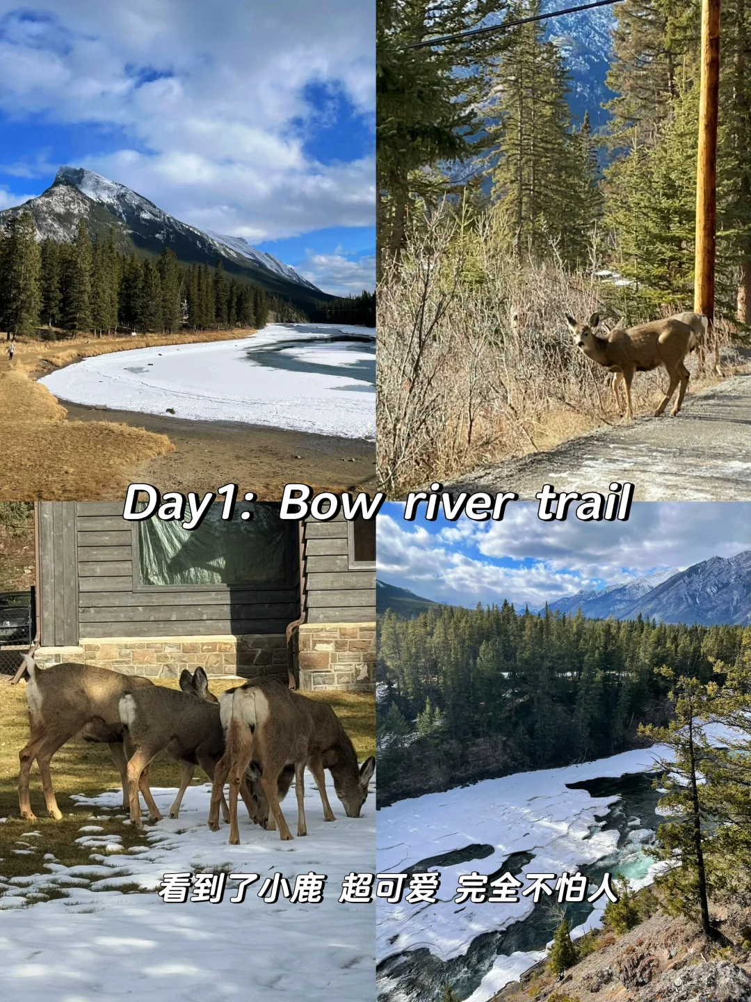 ??Banff自驾4天3晚旅游攻略?