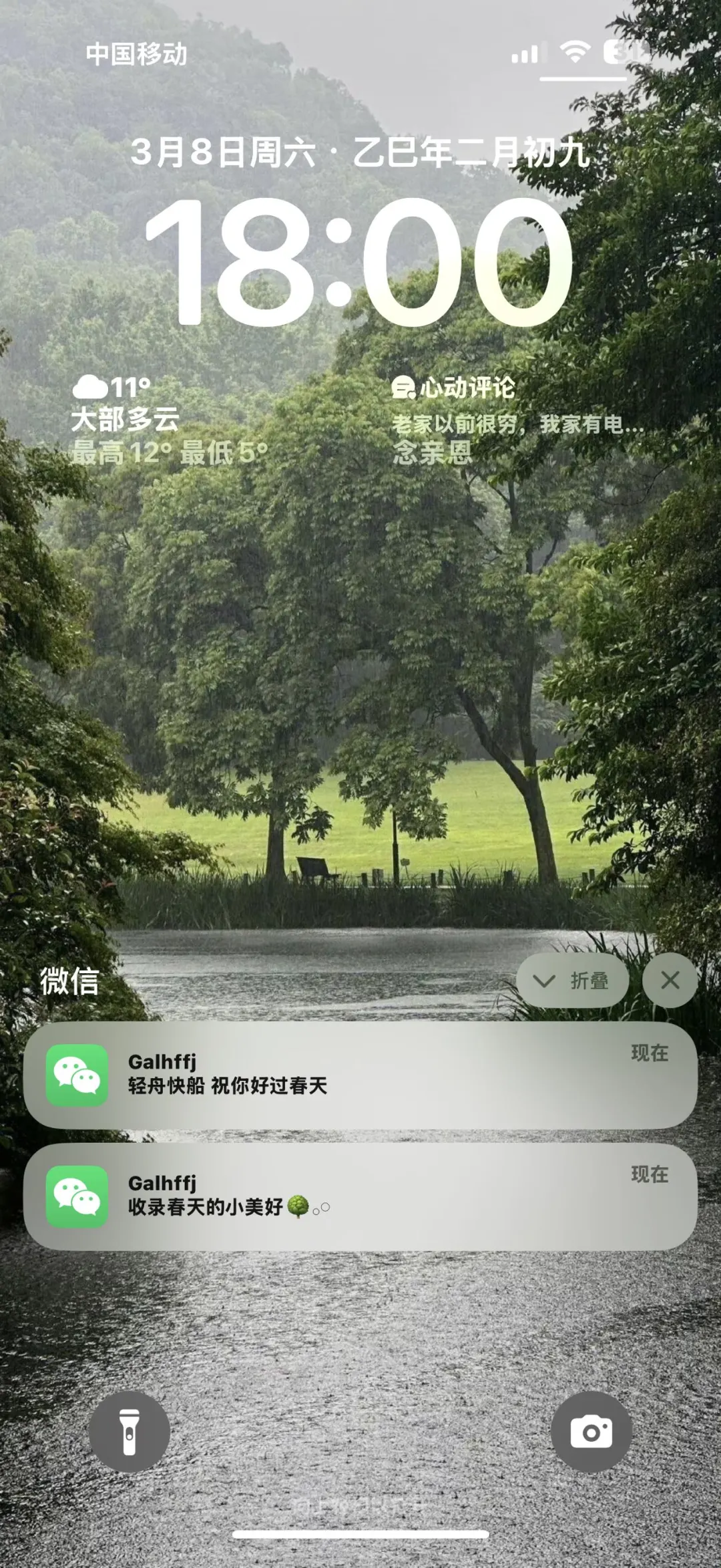 手机壁纸 | 绿色系 | 氛围感