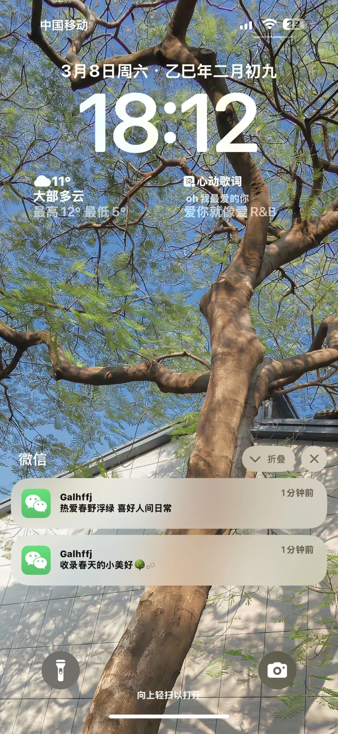 手机壁纸 | 绿色系 | 氛围感