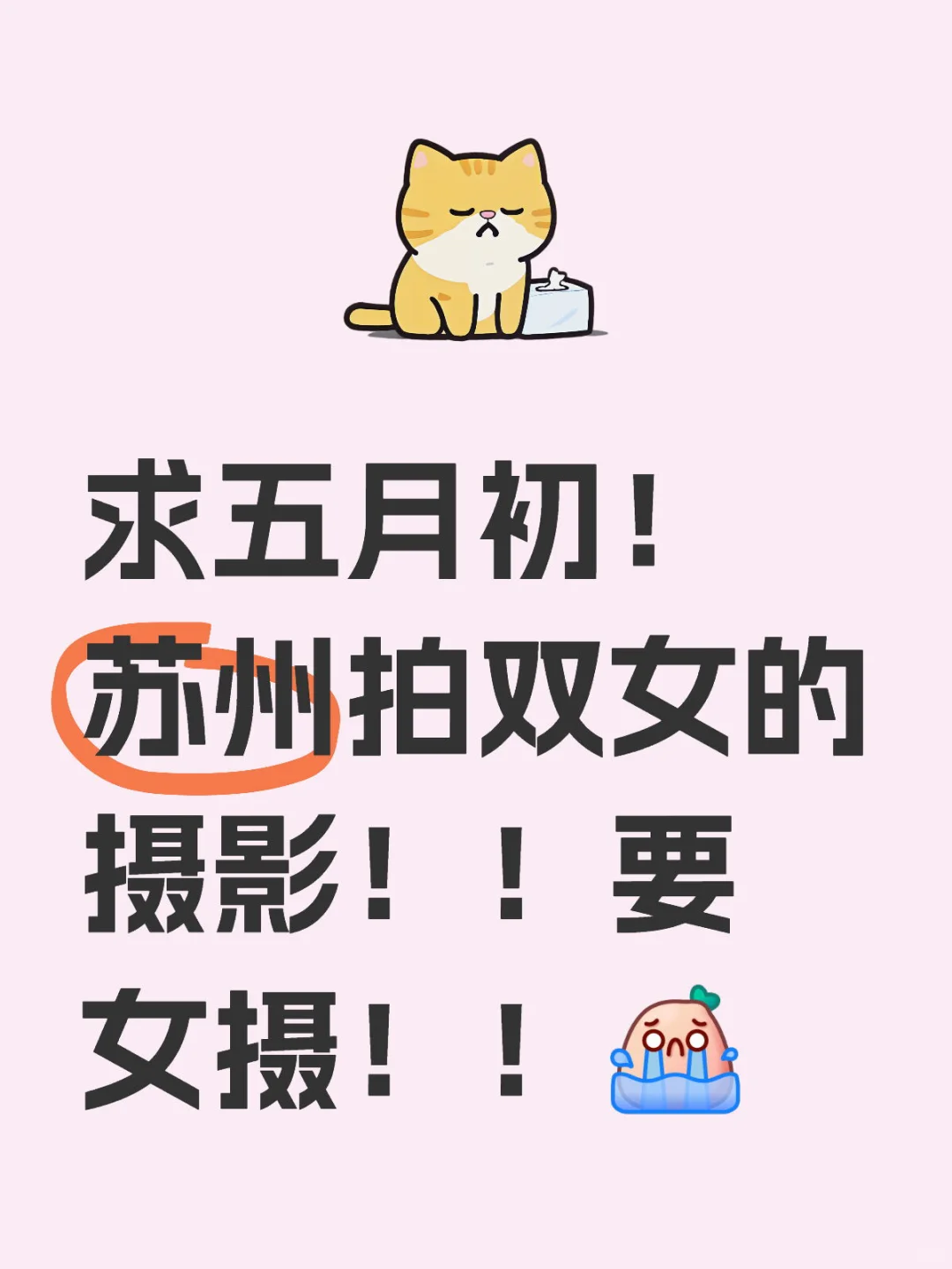 求求求双女摄影！！