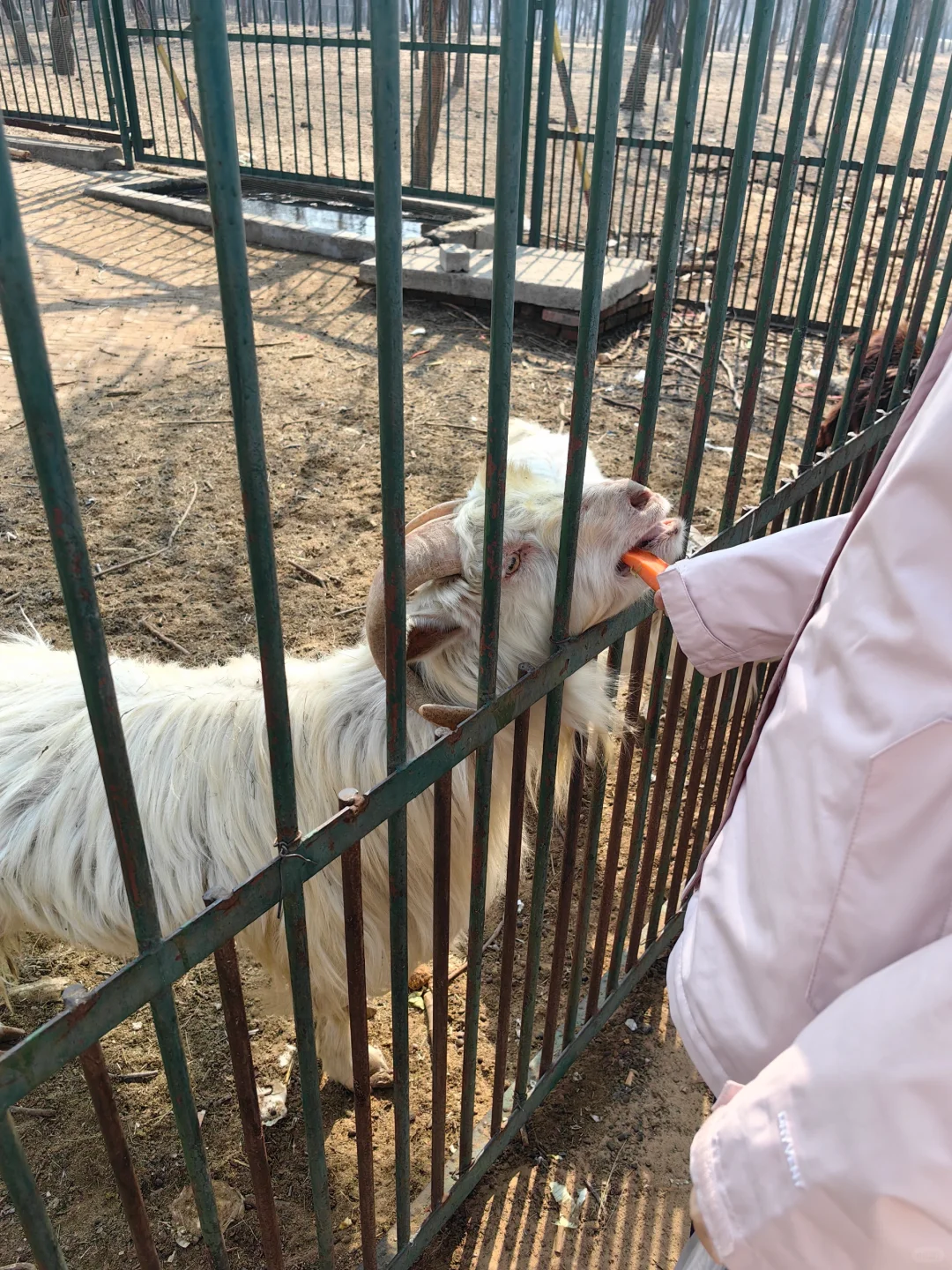 爱在女神节