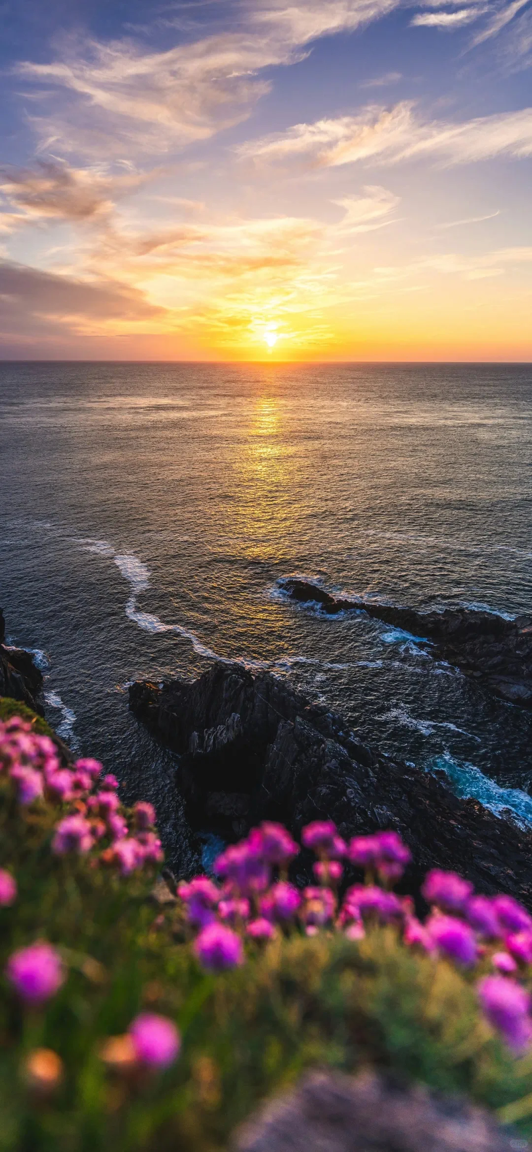 风景壁纸氛围感 | 日出日落皆美景