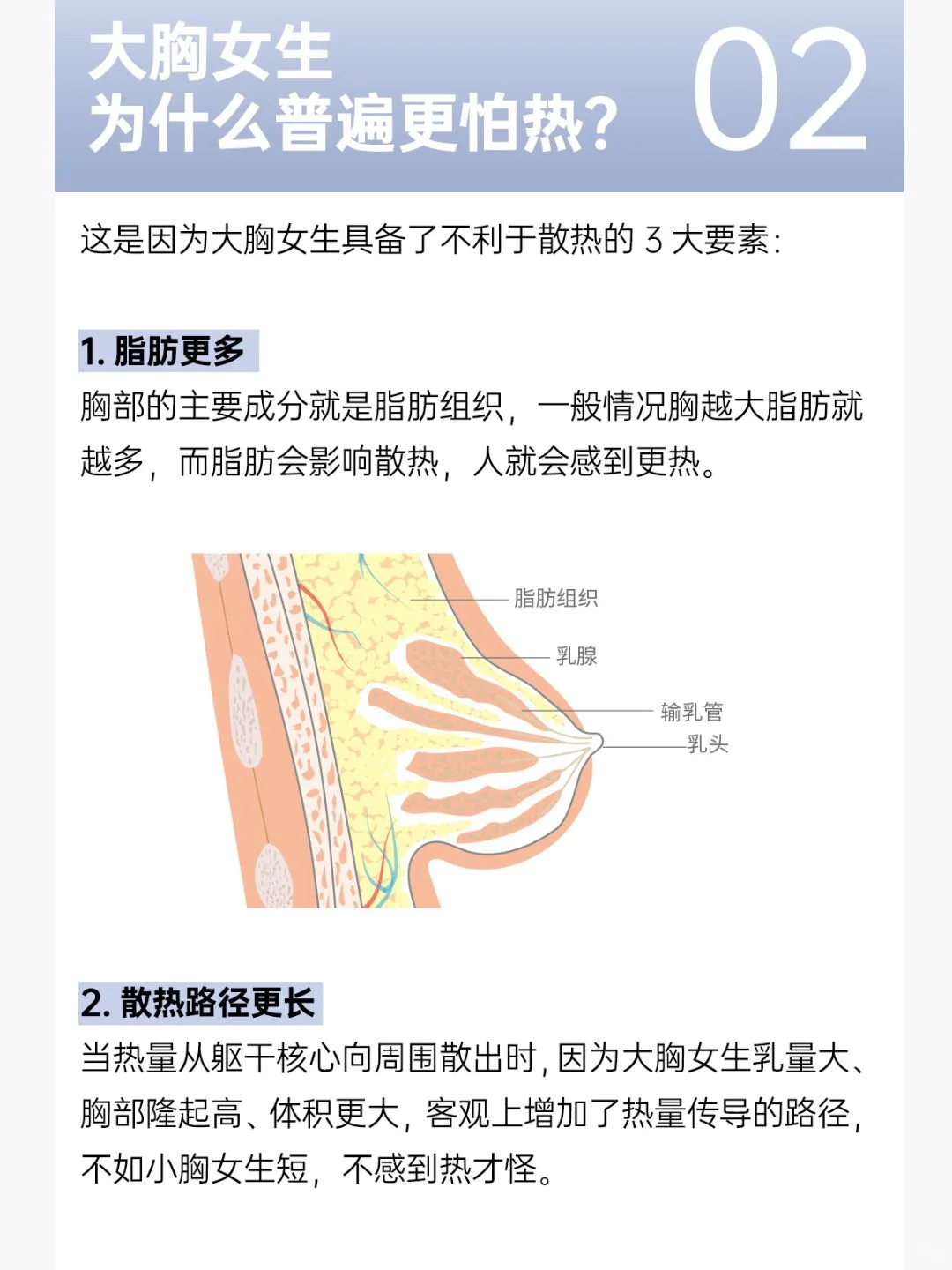 大胸为什么怕热，原来是这个原因！